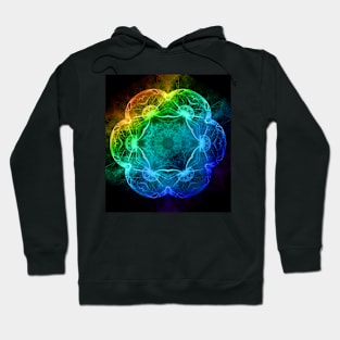 Evolution in abstract Hoodie